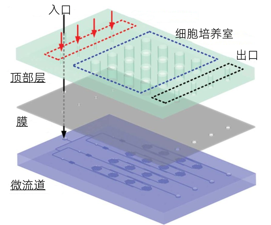 微流控芯片大规模生产